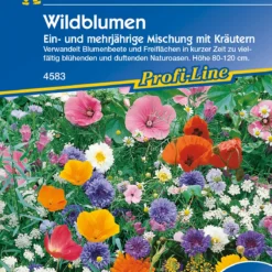 Blumen Raum Verkaufsgeschäft -Blumen Raum Verkaufsgeschäft 2916 Wildblumen Ein und mehrjaehrige Mischung mit Kraeutern 4583 0