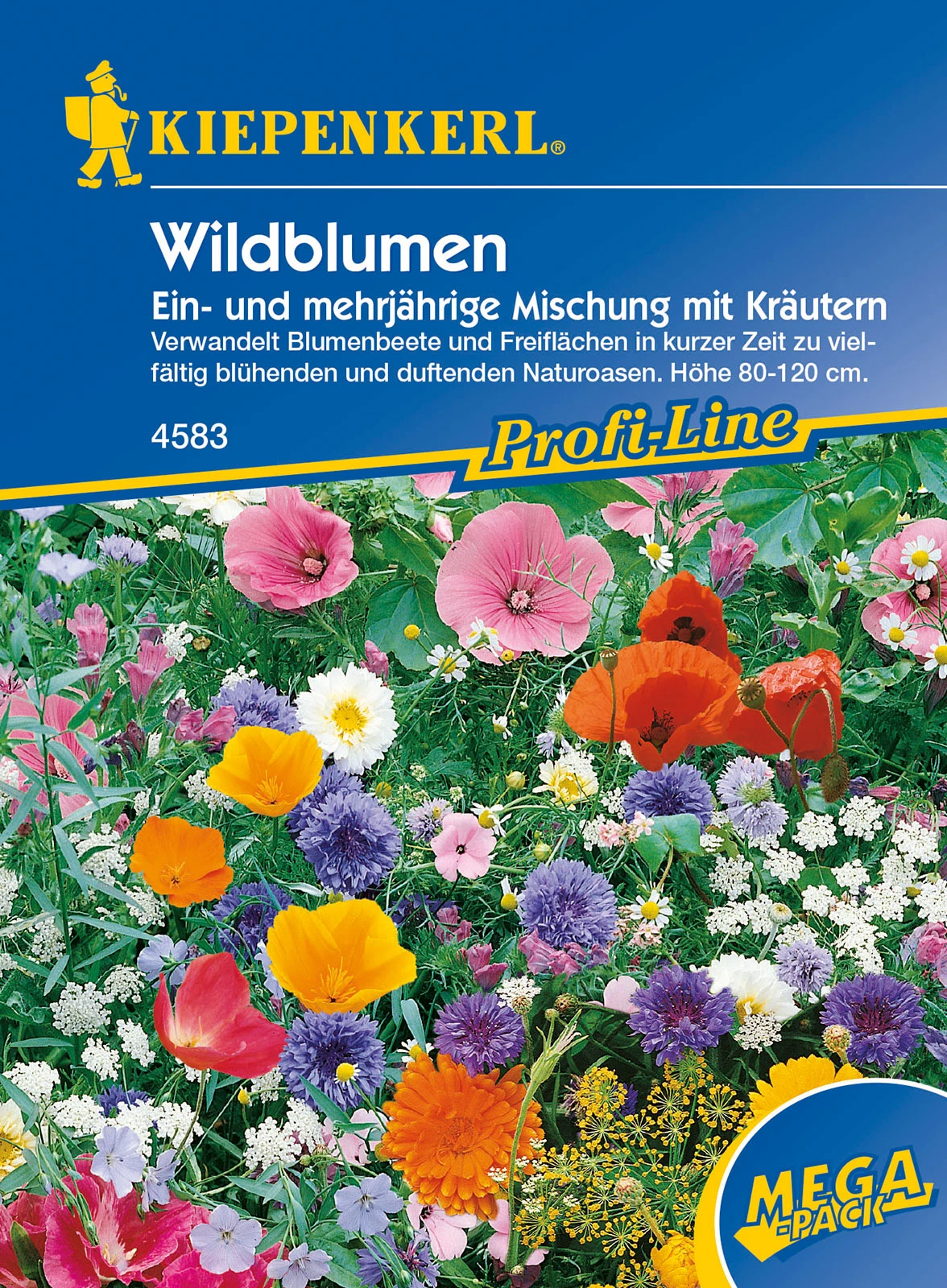 Wildblumen Ein - Und Mehrjährige Mischung Mit Kräutern | Wildblumensamen Von Kiepenkerl 2 Wildblumen Ein - Und Mehrjährige Mischung Mit Kräutern | Wildblumensamen Von Kiepenkerl – Bild 2