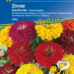 Zinnie Espana Mix | Zinniensamen Von Kiepenkerl