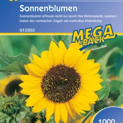 Sonnenblume Peredovick (1 Kg) | Sonnenblumensamen Von Kiepenkerl