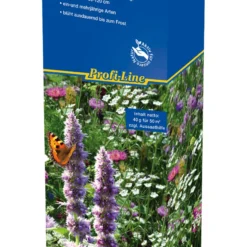 Bauerngarten - Mischung (40 G) | Blumensamenmischung Von Kiepenkerl 3 Bauerngarten - Mischung (40 G) | Blumensamenmischung Von Kiepenkerl -Blumen Raum Verkaufsgeschäft 528695 Bauerngarten Mischung 40 g 4945 0