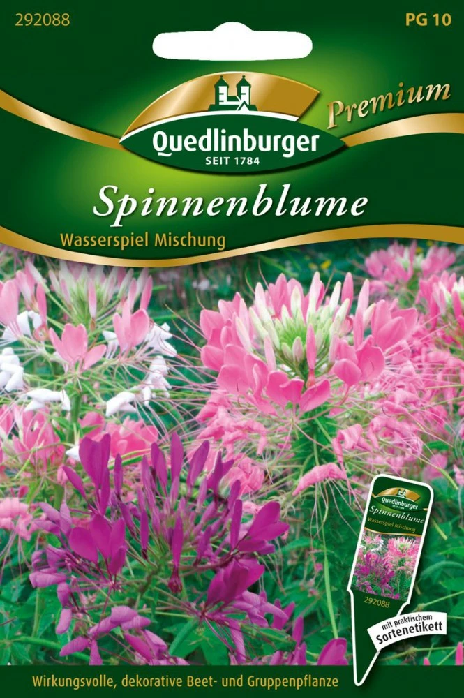 Spinnenblume Wasserspiel Mischung | Spinnenblumensamen Von Quedlinburger 1 Spinnenblume Wasserspiel Mischung | Spinnenblumensamen Von Quedlinburger