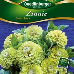 Zinnien Green Envy | Zinniensamen Von Quedlinburger