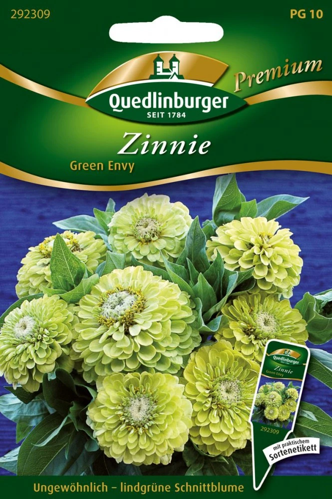 Zinnien Green Envy | Zinniensamen Von Quedlinburger 1 Zinnien Green Envy | Zinniensamen Von Quedlinburger