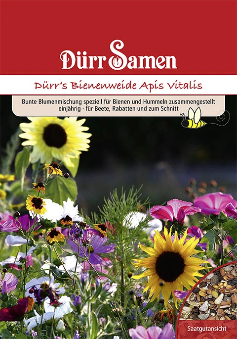 Bienen- Und Hummelweide Apis Vitalis 50 M² | Blumensamen Von Dürr Samen 1 Bienen- Und Hummelweide Apis Vitalis 50 M² | Blumensamen Von Dürr Samen