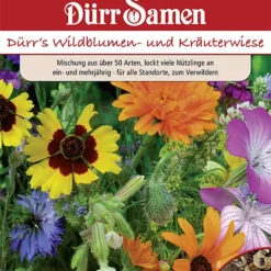 Wildblumen- Und Kräuterwiese Mit Gräsern 125m² | Blumenwiese Von Dürr Samen