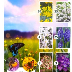Bienen- &amp; Schmetterlingsmischung (90 Stück) | Blumenzwiebelmischungen Von Quedlinburger