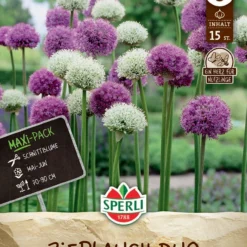 Zierlauch Mischung (15 Stück) | Zierlauchzwiebeln Von Sperli