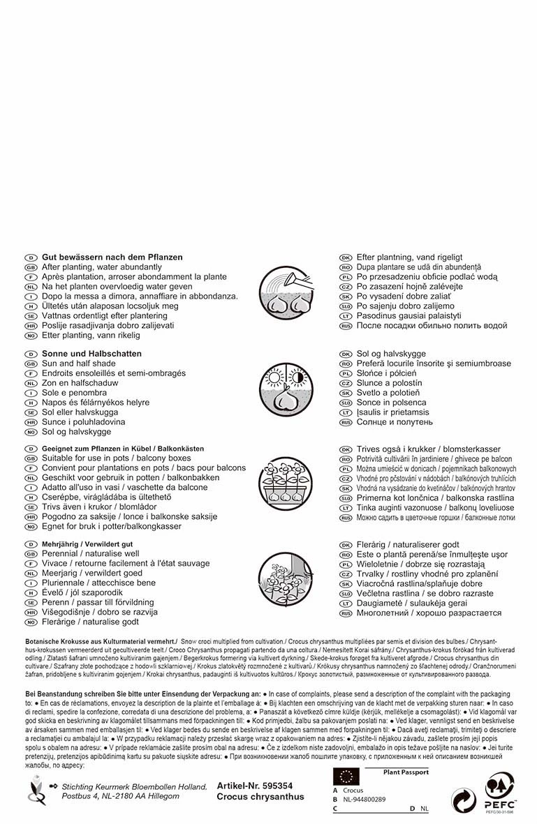 Wildkrokus Mischung Pastellfarben (35 Stück) | Krokuszwiebeln Von Pegasus 2 Wildkrokus Mischung Pastellfarben (35 Stück) | Krokuszwiebeln Von Pegasus – Bild 2