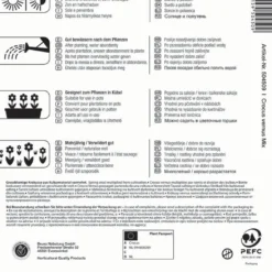 Großblumiger Krokus Mischung (15 Stück) | Krokuszwiebeln Von Kiepenkerl