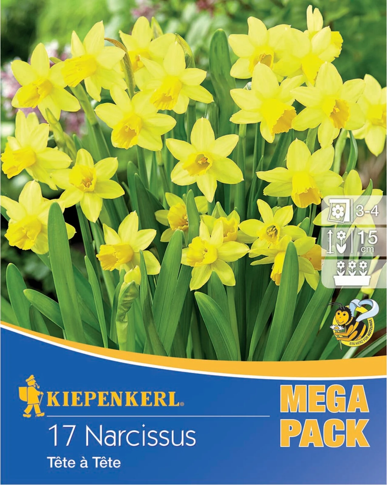 Mega-Pack Steingarten Narzisse Tête à Tête (17 Stück) | Narzissenzwiebeln Von Kiepenkerl 1 Mega-Pack Steingarten Narzisse Tête à Tête (17 Stück) | Narzissenzwiebeln Von Kiepenkerl