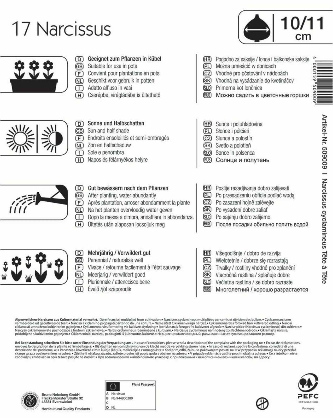 Mega-Pack Steingarten Narzisse Tête à Tête (17 Stück) | Narzissenzwiebeln Von Kiepenkerl 2 Mega-Pack Steingarten Narzisse Tête à Tête (17 Stück) | Narzissenzwiebeln Von Kiepenkerl – Bild 2