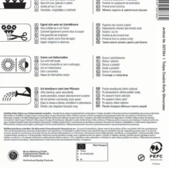 Gefüllte Frühe Tulpe Showcase (8 Stück) | Tulpenzwiebeln Von Kiepenkerl