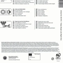 Mehrblütige Tulpe Night Club (7 Stück) | Tulpenzwiebeln Von Kiepenkerl -Blumen Raum Verkaufsgeschäft 533519 Mehrbluetige Tulpe Night Club 7 Stueck 501270 1