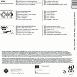 Mehrblütige Tulpe Candy Club (7 Stück) | Tulpenzwiebeln Von Kiepenkerl -Blumen Raum Verkaufsgeschäft 533521 Mehrbluetige Tulpe Candy Club 7 Stueck 501362 1