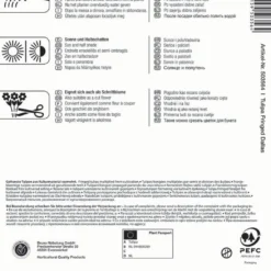 Gefranste Tulpe Dallas (7 Stück) | Tulpenzwiebeln Von Kiepenkerl