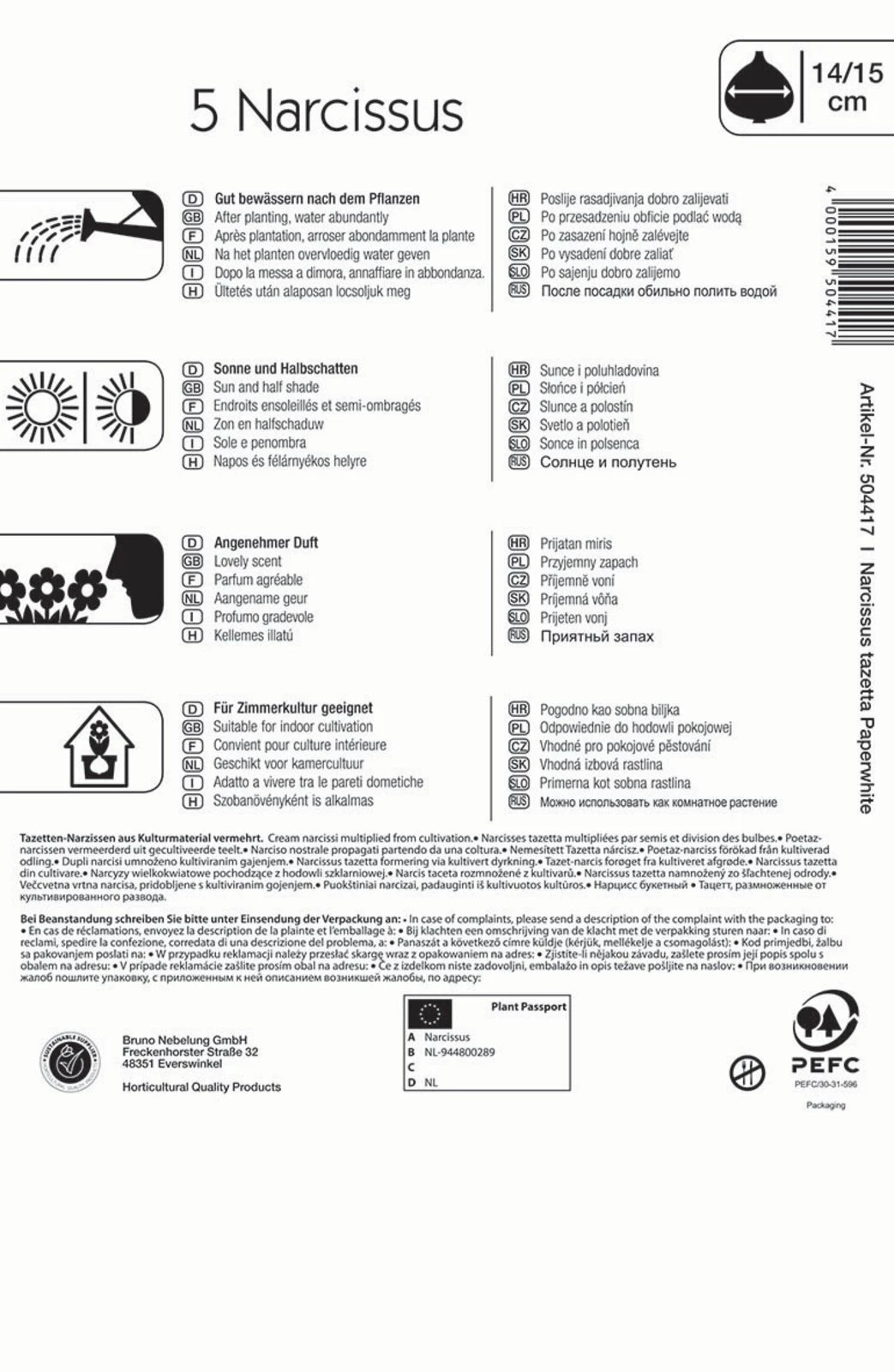 Narzisse Paperwhite (5 Stück) | Narzissenzwiebeln Von Kiepenkerl 1 Narzisse Paperwhite (5 Stück) | Narzissenzwiebeln Von Kiepenkerl