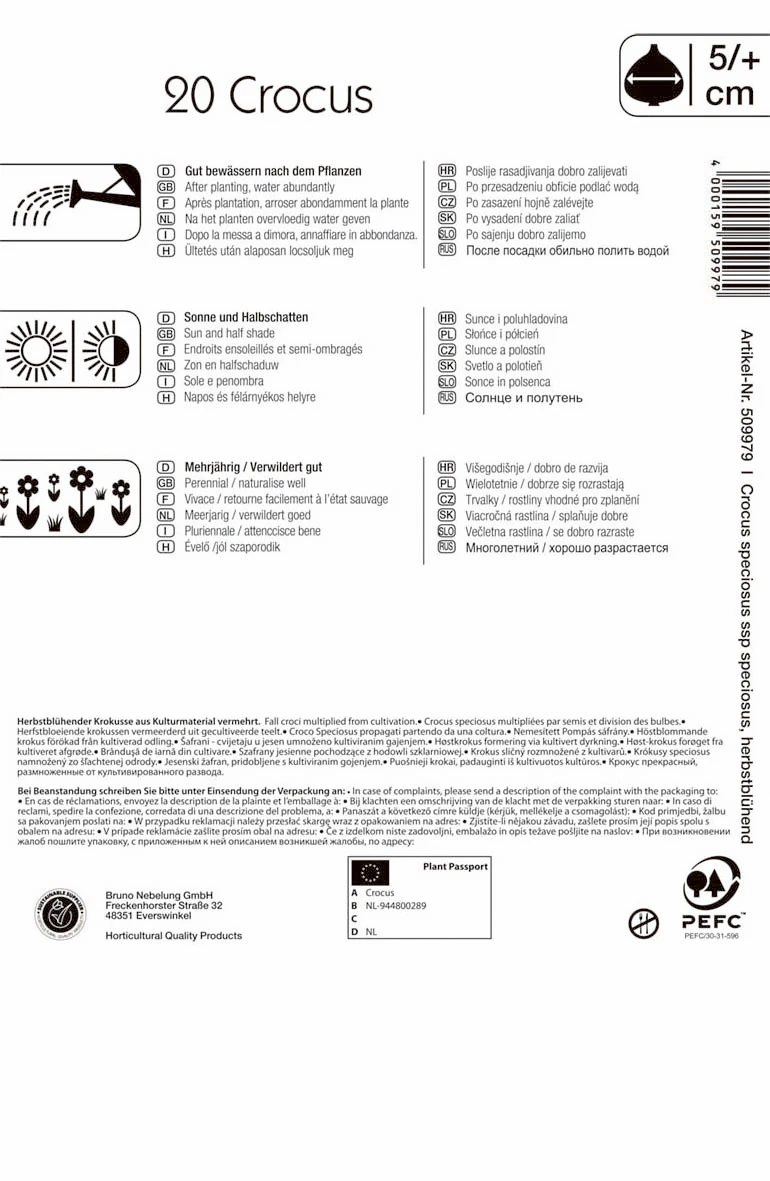 Pracht-Herbst-Krokus (20 Stück) | Krokuszwiebeln Von Kiepenkerl 1 Pracht-Herbst-Krokus (20 Stück) | Krokuszwiebeln Von Kiepenkerl