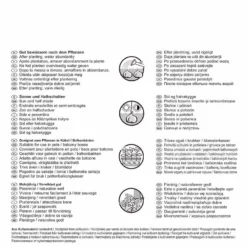 Kübel & Terrassen Mischung (35 Stück) | Blumenzwiebelmischung Von Pegasus