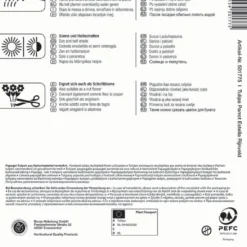 Papagei Tulpe Estella Rijnveld (7 Stück) | Tulpenzwiebeln Von Kiepenkerl