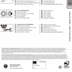 Triumph-Tulpe Shirley (7 Stück) | Tulpenzwiebeln Von Kiepenkerl