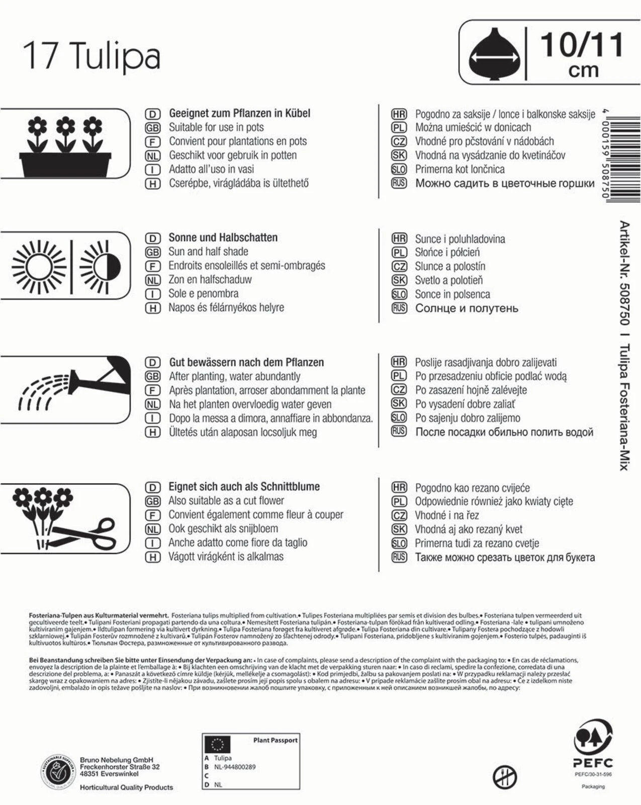 Mega-Pack Fosteriana-Tulpe Mischung (17 Stück) | Tulpenzwiebeln Von Kiepenkerl 2 Mega-Pack Fosteriana-Tulpe Mischung (17 Stück) | Tulpenzwiebeln Von Kiepenkerl – Bild 2