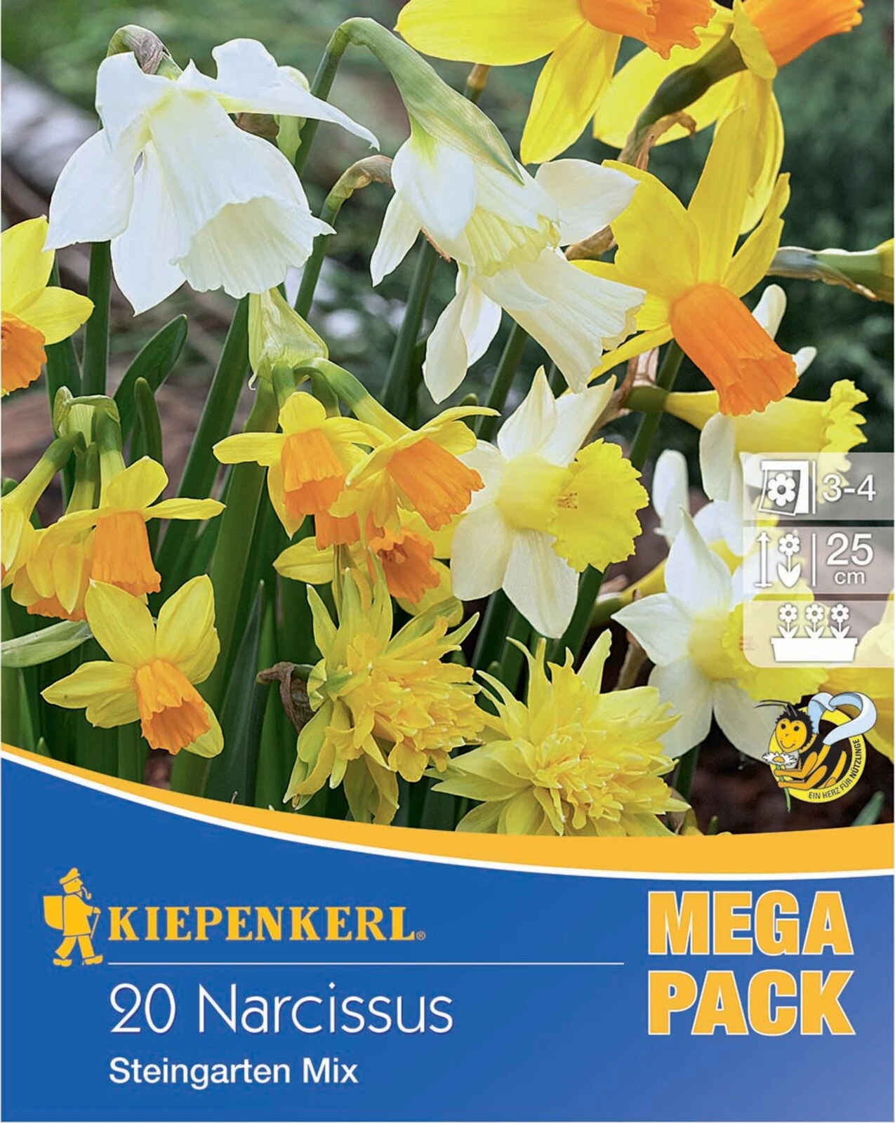 Mega-Pack Steingarten Narzissen Mischung (20 Stück) | Narzissenzwiebeln Von Kiepenkerl 1 Mega-Pack Steingarten Narzissen Mischung (20 Stück) | Narzissenzwiebeln Von Kiepenkerl