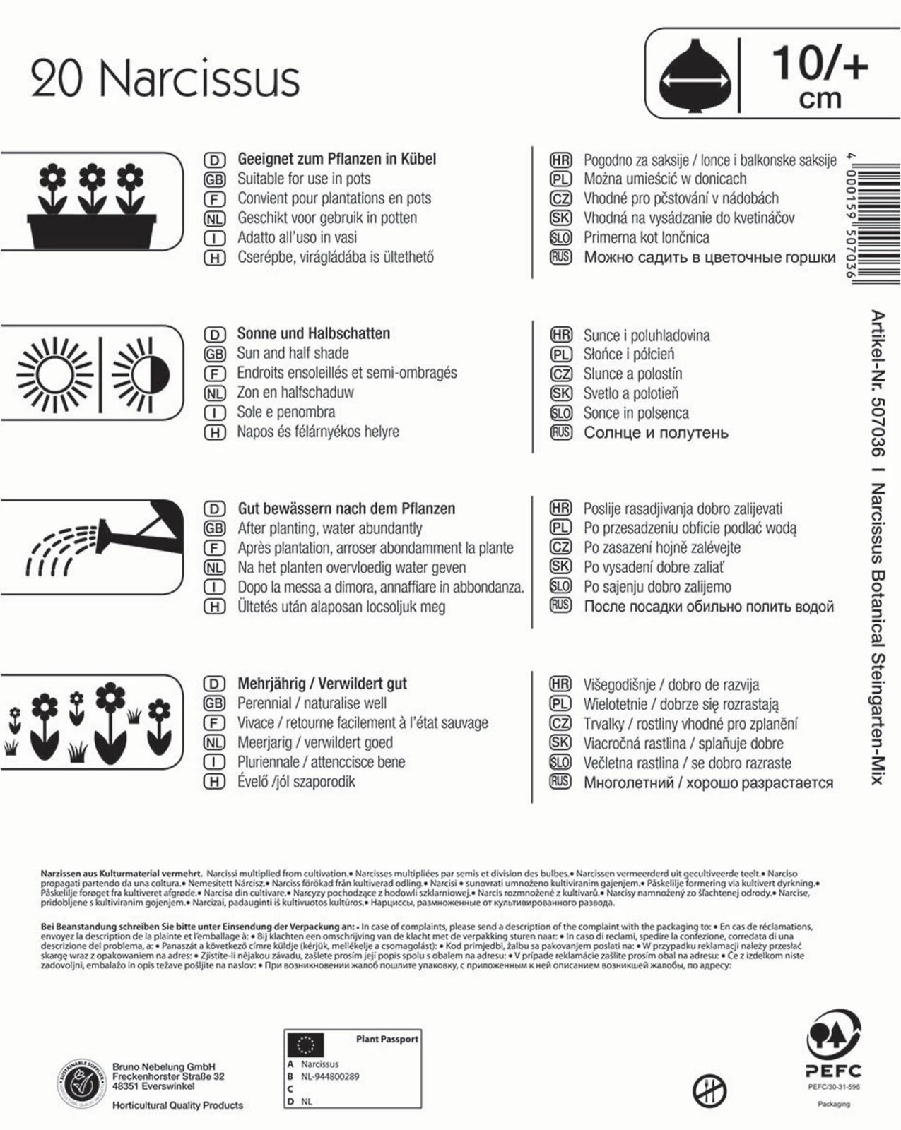 Mega-Pack Steingarten Narzissen Mischung (20 Stück) | Narzissenzwiebeln Von Kiepenkerl 2 Mega-Pack Steingarten Narzissen Mischung (20 Stück) | Narzissenzwiebeln Von Kiepenkerl – Bild 2