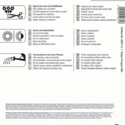 Mega-Pack Gefranste Tulpe Mischung (17 Stück) | Tulpenzwiebeln Von Kiepenkerl