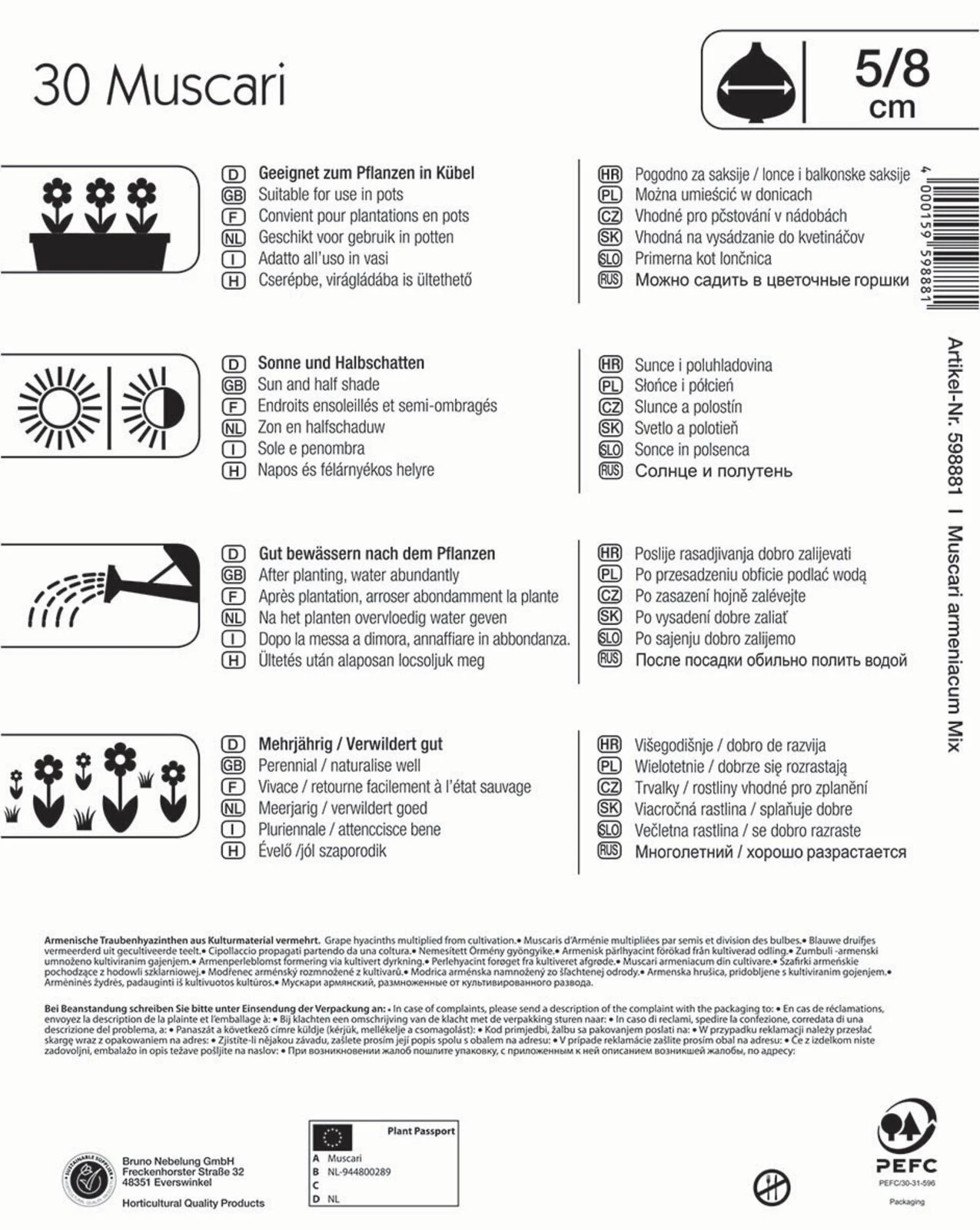 Mega-Pack Traubenhyazinthe Mischung (30 Stück) | Hyazinthenzwiebeln Von Kiepenkerl 1 Mega-Pack Traubenhyazinthe Mischung (30 Stück) | Hyazinthenzwiebeln Von Kiepenkerl