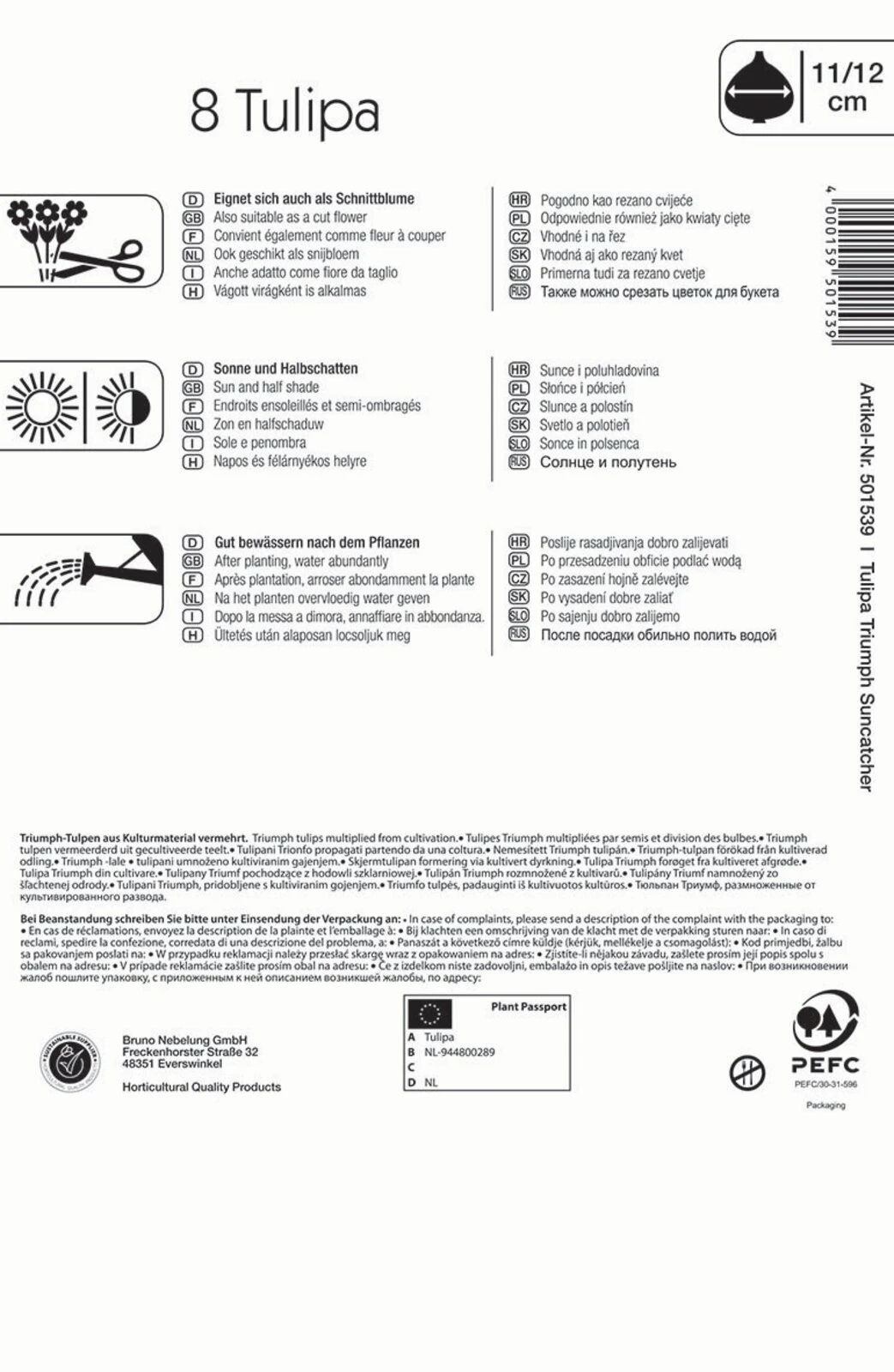 Triumph-Tulpe Suncatcher (8 Stück) | Tulpenzwiebeln Von Kiepenkerl 1 Triumph-Tulpe Suncatcher (8 Stück) | Tulpenzwiebeln Von Kiepenkerl