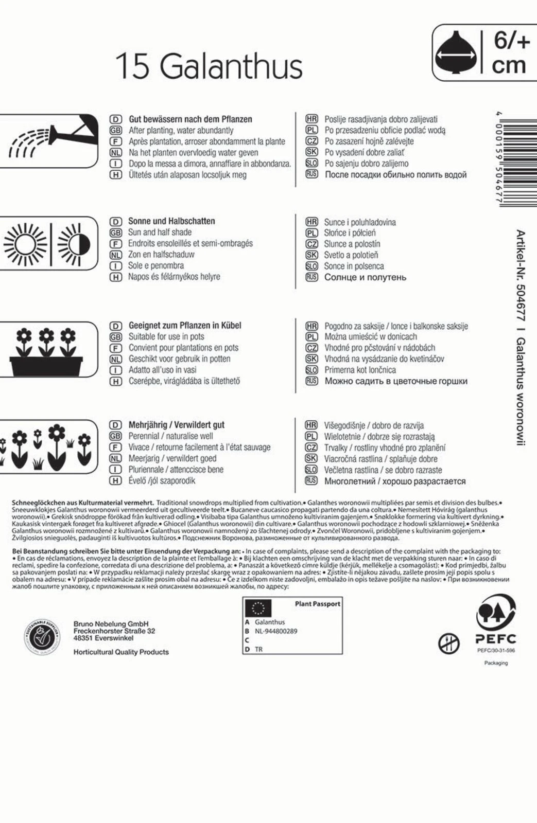 Schneeglöckchen (15 Stück) | Schneeglöckchenzwiebeln Von Kiepenkerl 1 Schneeglöckchen (15 Stück) | Schneeglöckchenzwiebeln Von Kiepenkerl