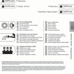 Colour Symphony Orange Harmony (17 Stück) | Blumenzwiebelmischungen Von Kiepenkerl