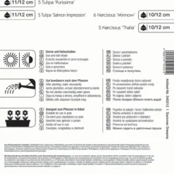 Colour Symphony Summer Dreams (21 Stück) | Blumenzwiebelmischungen Von Kiepenkerl