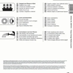 Mega-Pack Botanische Tulpe Balkonzauber Mischung (17 Stück) | Tulpenzwiebeln Von Kiepenkerl