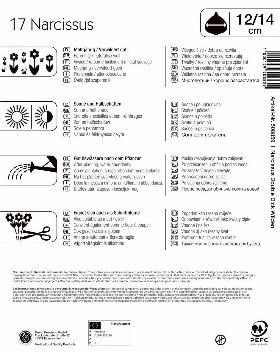 Mega-Pack Narzisse Dick Wilden (17 Stück) | Narzissenzwiebeln Von Kiepenkerl 1 Mega-Pack Narzisse Dick Wilden (17 Stück) | Narzissenzwiebeln Von Kiepenkerl