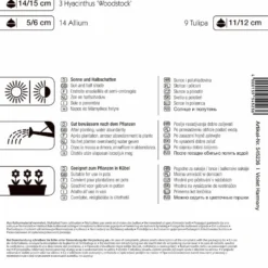 Colour Symphony Violet Harmony (26 Stück) | Blumenzwiebelmischungen Von Kiepenkerl 3 Colour Symphony Violet Harmony (26 Stück) | Blumenzwiebelmischungen Von Kiepenkerl -Blumen Raum Verkaufsgeschäft 533641 Colour Symphony Violet Harmony 26 Stueck 545236 1