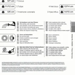 Colour Symphony Rose Harmony (26 Stück) | Blumenzwiebelmischungen Von Kiepenkerl