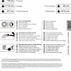 Colour Symphony Blue Harmony (30 Stück) | Blumenzwiebelmischungen Von Kiepenkerl