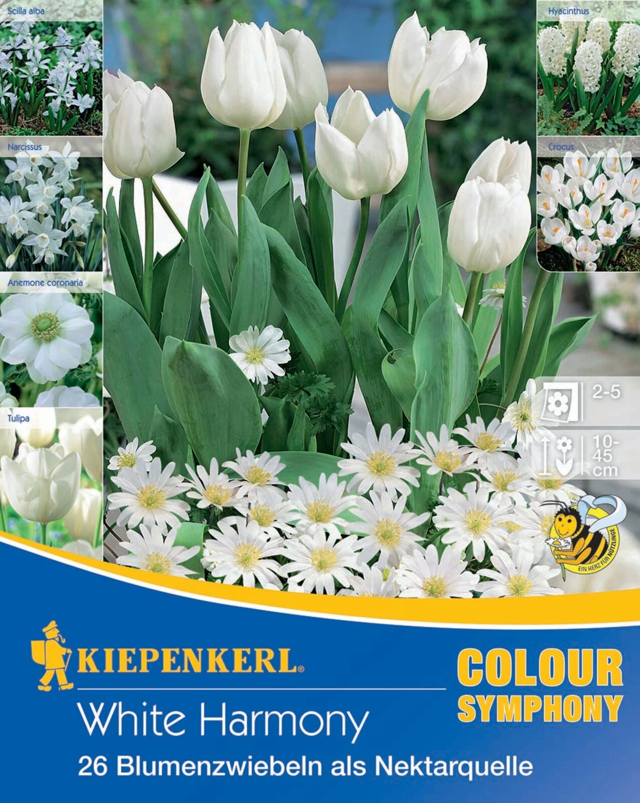 Colour Symphony White Harmony (26 Stück) | Blumenzwiebelmischungen Von Kiepenkerl 1 Colour Symphony White Harmony (26 Stück) | Blumenzwiebelmischungen Von Kiepenkerl