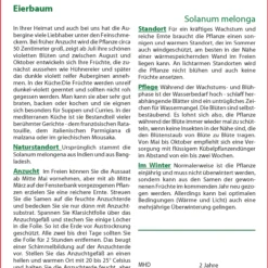 Eierbaum | Eierbaumsamen Von Saflax