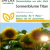 Sonnenblume Titan F1 | Sonnenblumensamen Von Saflax