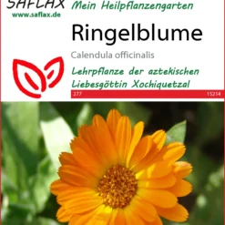 Ringelblume | Ringelblumensamen Von Saflax