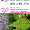 Koreanische Minze | Minzesamen Von Saflax