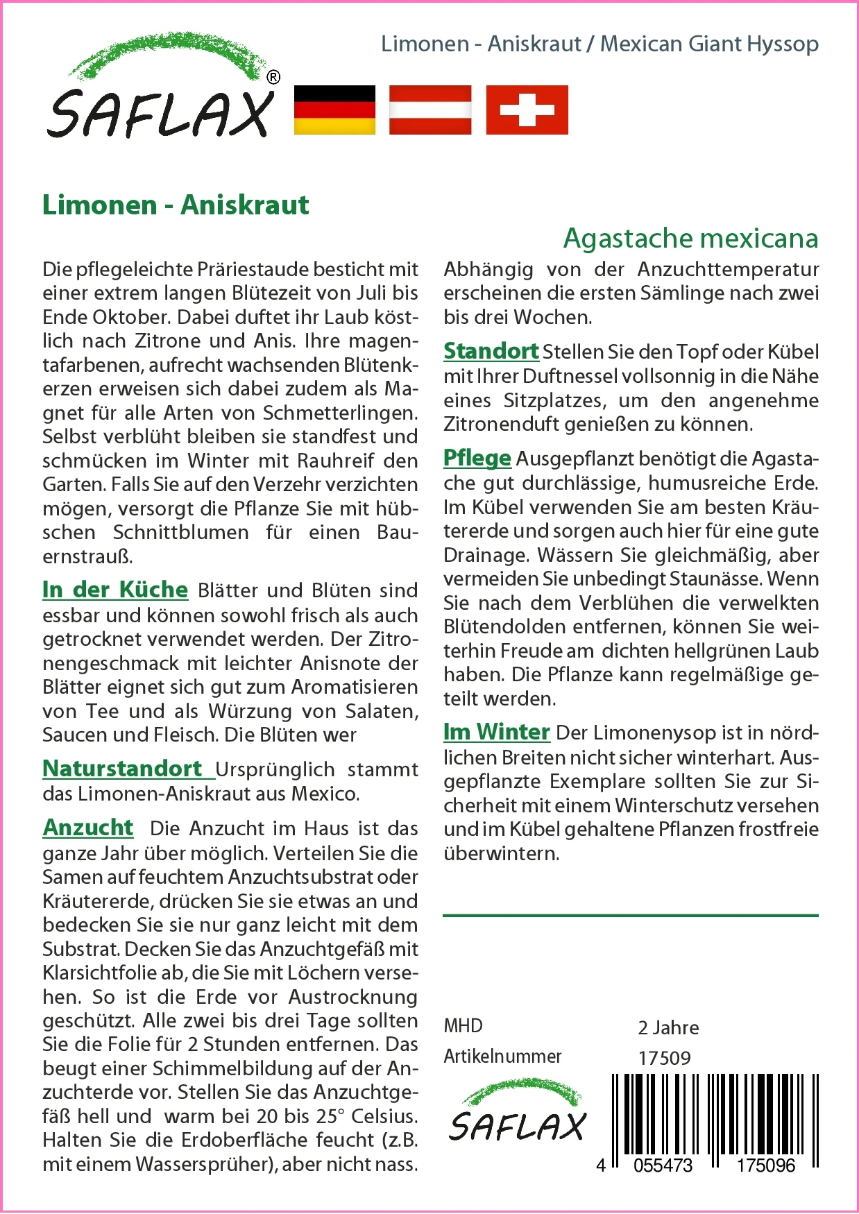 Limonen-Aniskraut | Anissamen Von Saflax 2 Limonen-Aniskraut | Anissamen Von Saflax – Bild 2