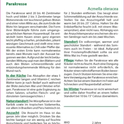 Parakresse | Kressesamen Von Saflax -Blumen Raum Verkaufsgeschäft 535684 Parakresse 17515 sa 1