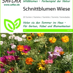 Schnittblumen Wiese | Wildblumenwiese Von Saflax 3 Schnittblumen Wiese | Wildblumenwiese Von Saflax -Blumen Raum Verkaufsgeschäft 535696 Schnittblumen Wiese 18154 sa 0