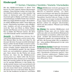 Blumenwiese Kinderspaß | Wildblumenwiese Von Saflax