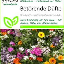 Blumen Raum Verkaufsgeschäft 6 Blumenwiese Betörende Düfte | Wildblumenwiese Von Saflax