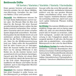 Blumen Raum Verkaufsgeschäft -Blumen Raum Verkaufsgeschäft 535699 Blumenwiese Betoerende Duefte 18157 sa 1